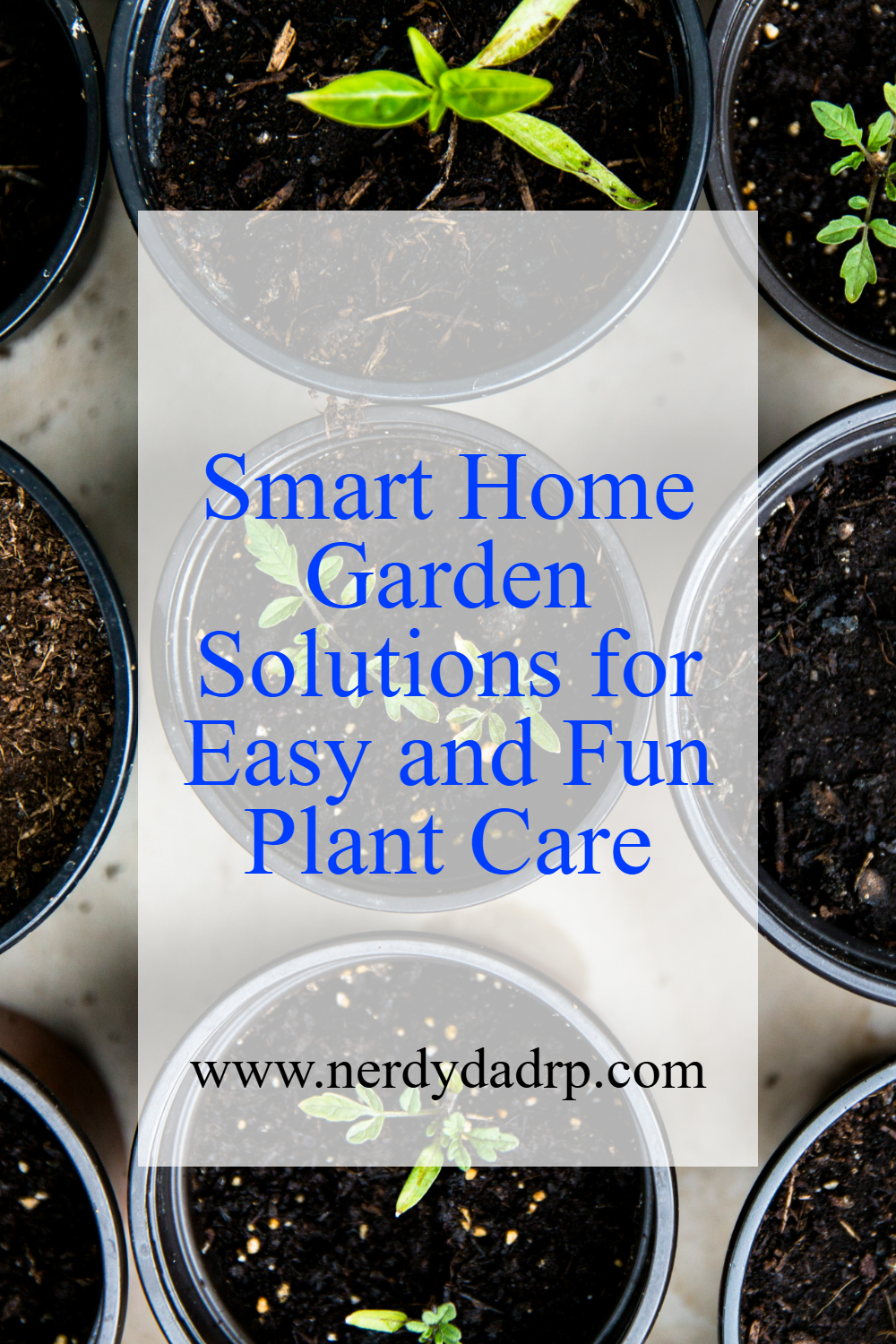 group of plants starting to grow in little black pots with text that says Smart Home Garden Solutions for Easy and Fun Plant Care